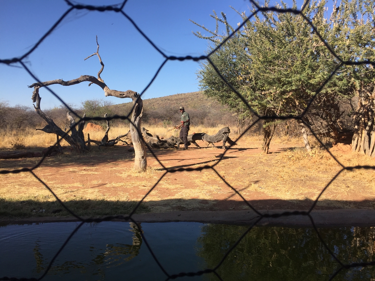 [9063] 2016_06_23_15_14_20_Africa_iPhone_6_IMG_7820_02747.jpg