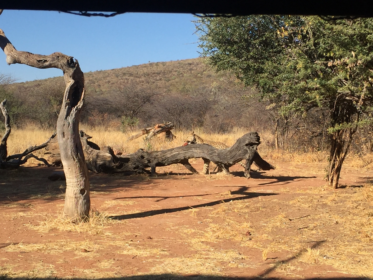 [9065] 2016_06_23_15_16_11_Africa_iPhone_6_IMG_7821_02748.jpg