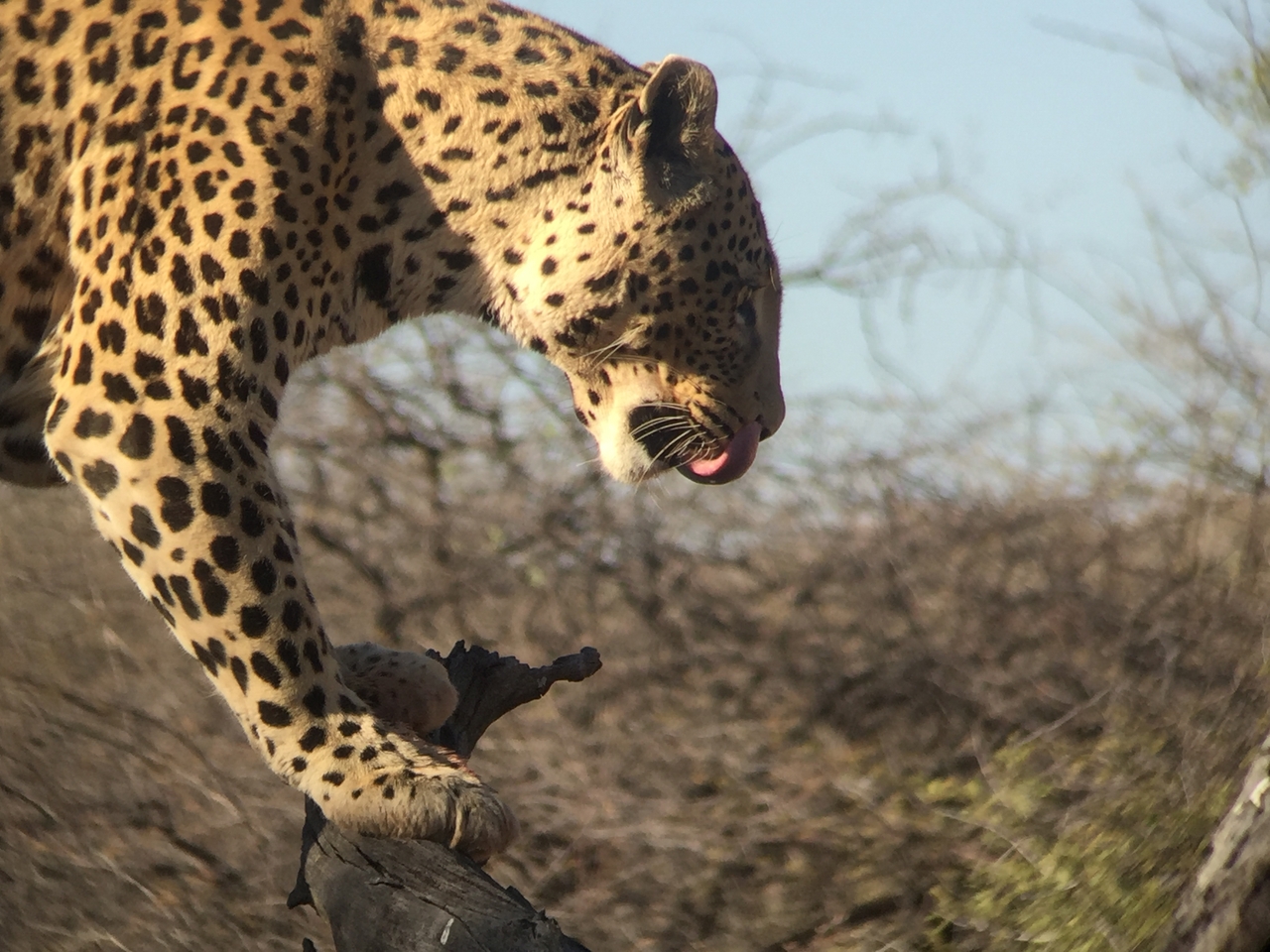 [9123] 2016_06_23_15_25_55_Africa_iPhone_6_IMG_7851_02777.jpg