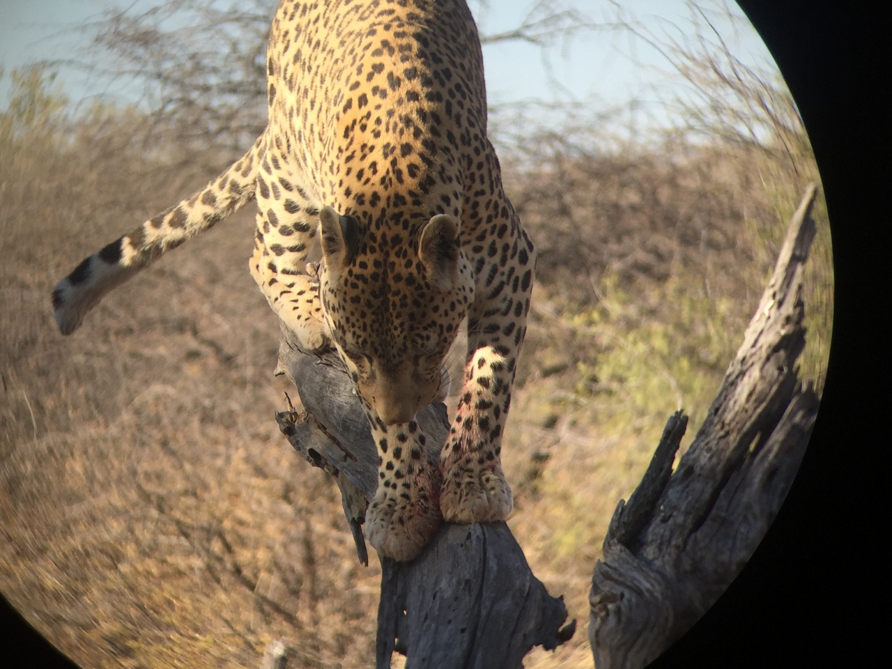 [9136] 2016_06_23_15_26_09_Africa_iPhone_6_IMG_7858_00443.jpg