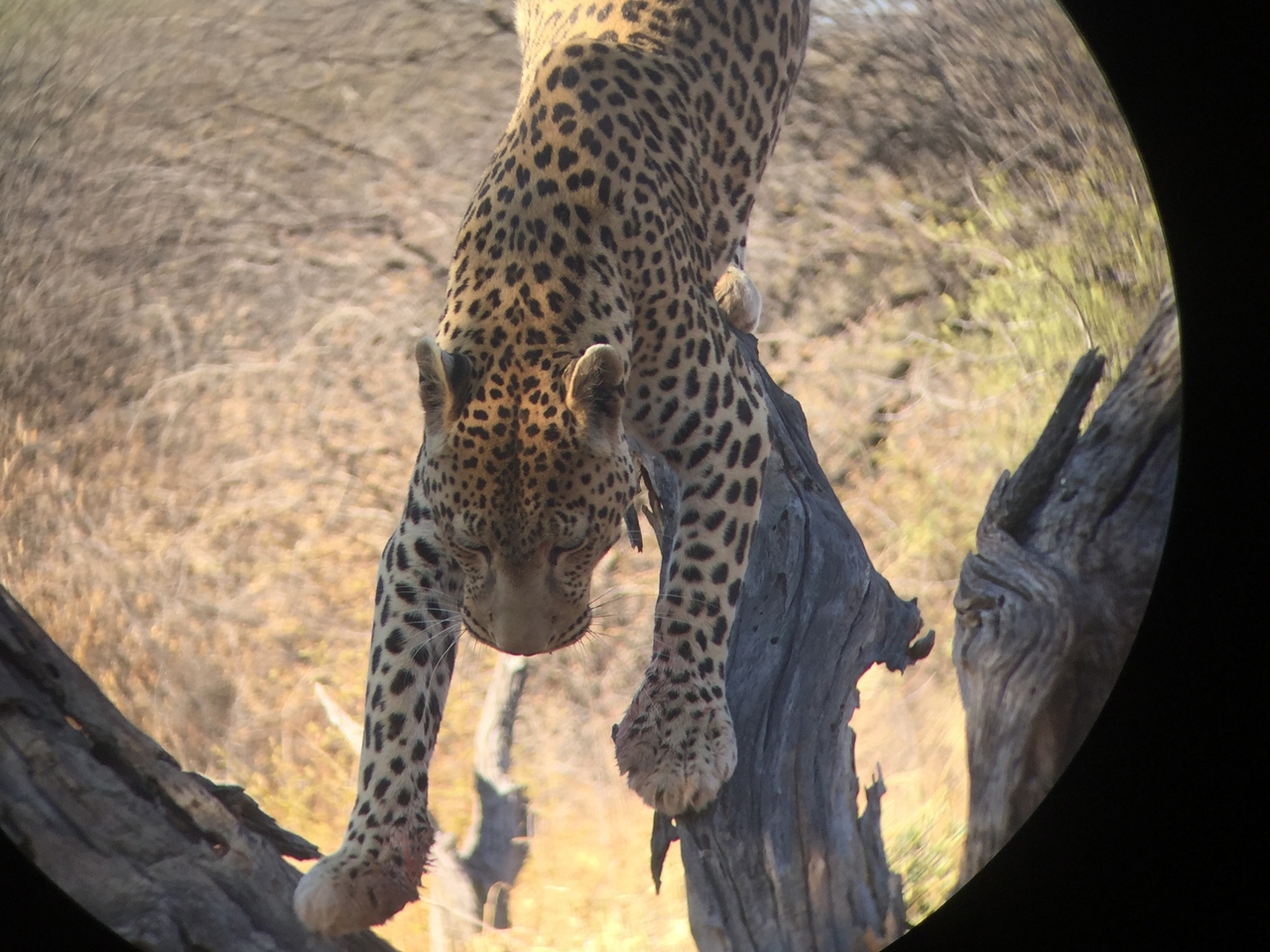 [9138] 2016_06_23_15_26_10_Africa_iPhone_6_IMG_7859_00444.jpg