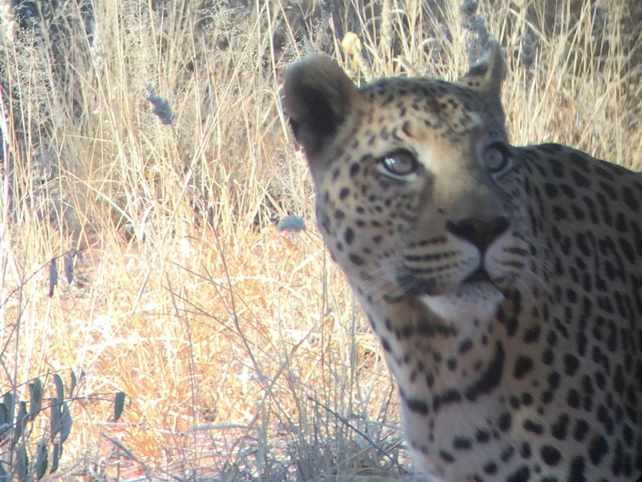 [9149] 2016_06_23_15_26_25_Africa_iPhone_6_IMG_7864_02790.jpg