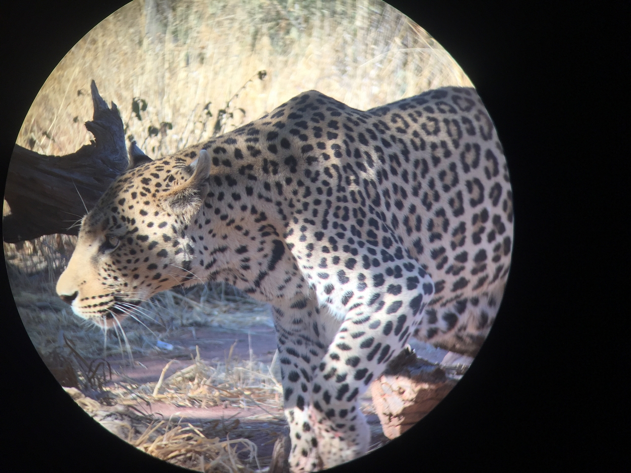 [9183] 2016_06_23_15_29_41_Africa_iPhone_6_IMG_7881_02807.jpg