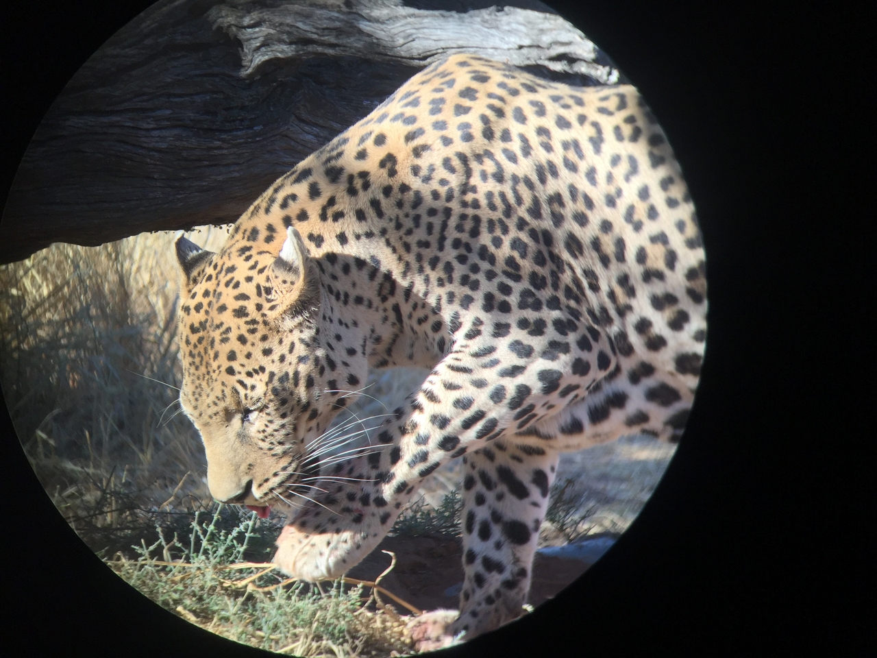 [9187] 2016_06_23_15_29_50_Africa_iPhone_6_IMG_7883_02809.jpg