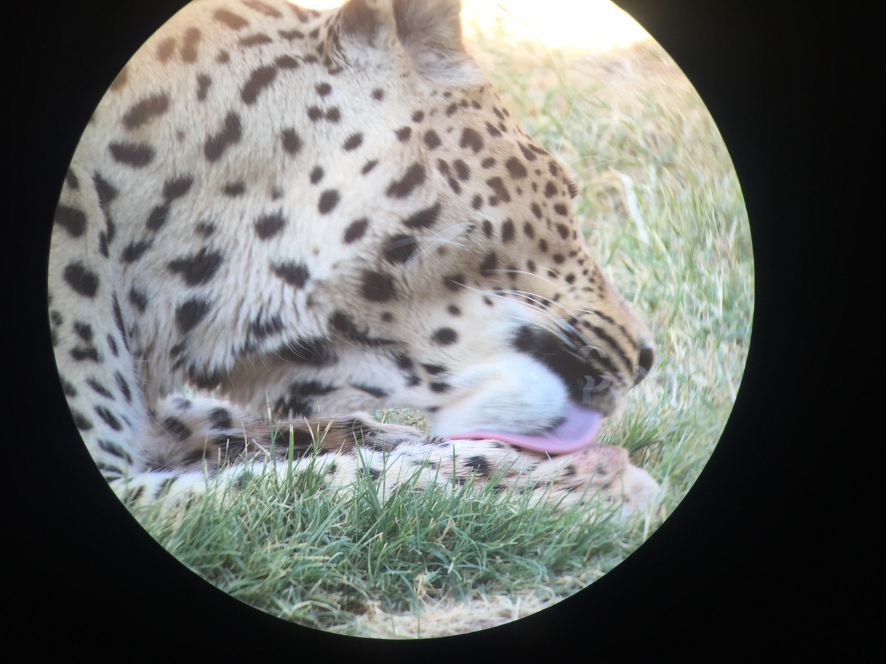 [9211] 2016_06_23_15_30_45_Africa_iPhone_6_IMG_7895_02821.jpg