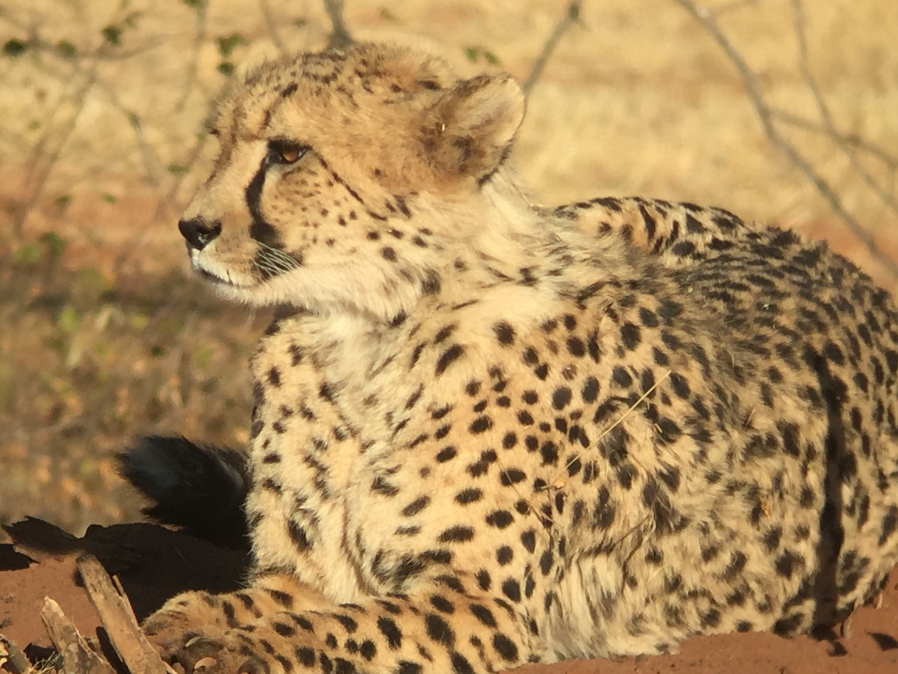 [9257] 2016_06_23_15_53_08_Africa_iPhone_6_IMG_7920_02844.jpg