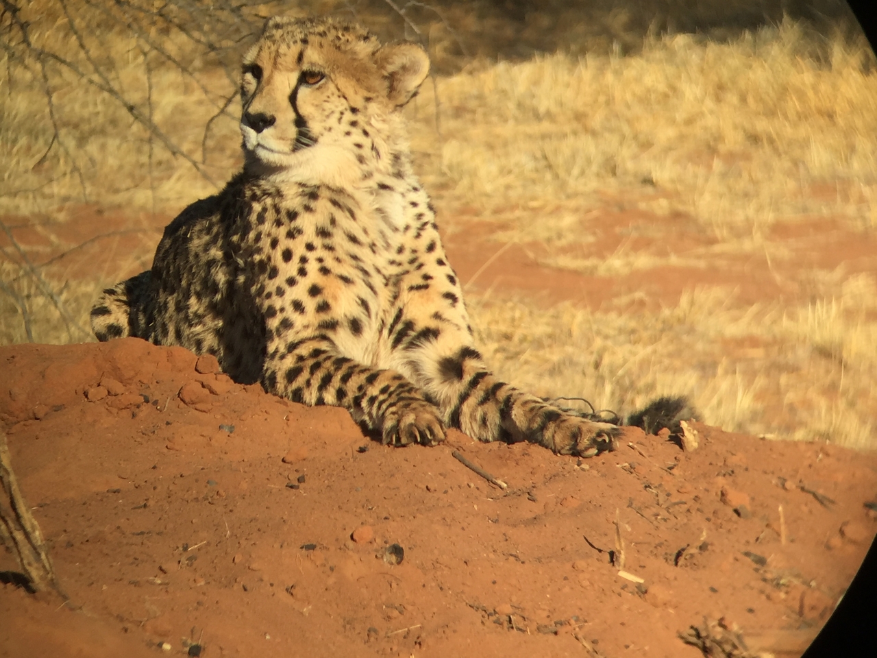 [9272] 2016_06_23_15_57_01_Africa_iPhone_6_IMG_7928_00511.jpg
