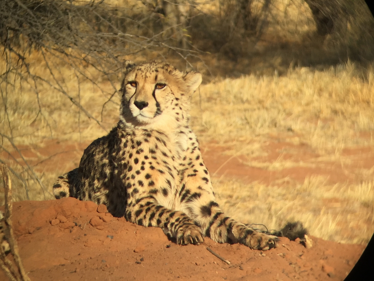 [9274] 2016_06_23_15_57_03_Africa_iPhone_6_IMG_7929_00512.jpg