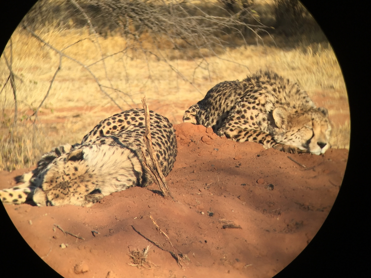 [9314] 2016_06_23_16_11_38_Africa_iPhone_6_IMG_7950_00532.jpg