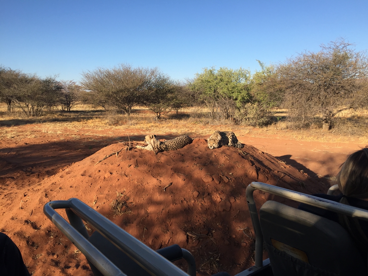 [9316] 2016_06_23_16_13_14_Africa_iPhone_6_IMG_7951_00533.jpg