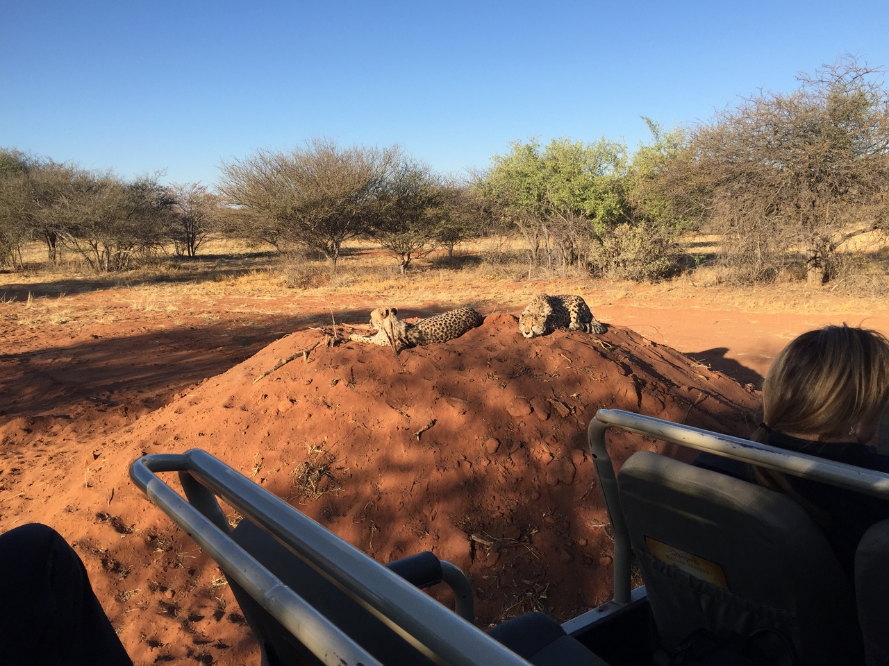 [9318] 2016_06_23_16_13_16_Africa_iPhone_6_IMG_7952_00534.jpg