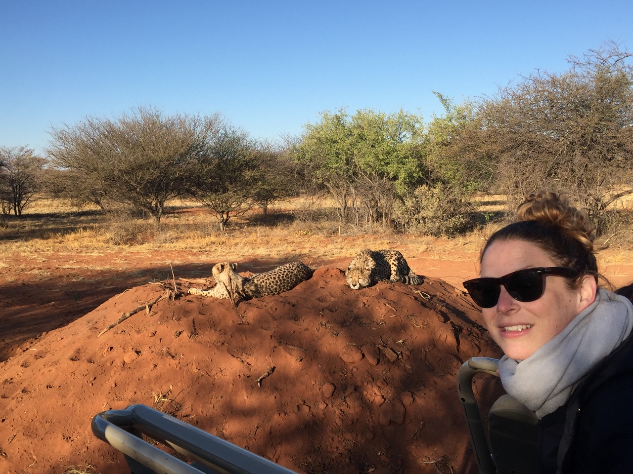 [9326] 2016_06_23_16_13_20_Africa_iPhone_6_IMG_7956_00538.jpg