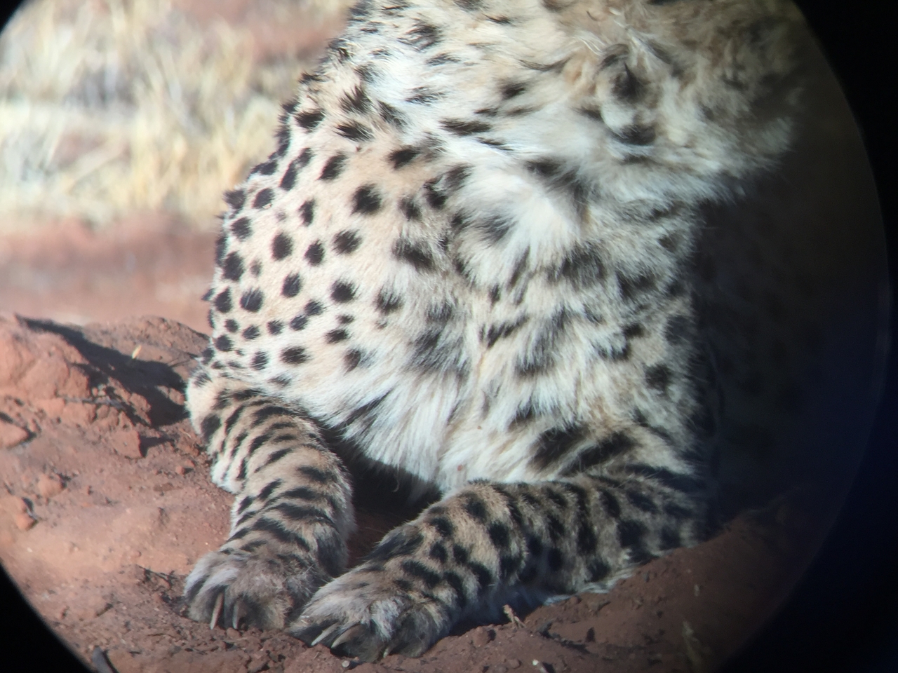 [9328] 2016_06_23_16_13_35_Africa_iPhone_6_IMG_7957_00539.jpg