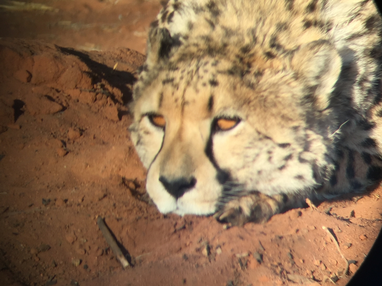 [9336] 2016_06_23_16_13_49_Africa_iPhone_6_IMG_7961_00543.jpg