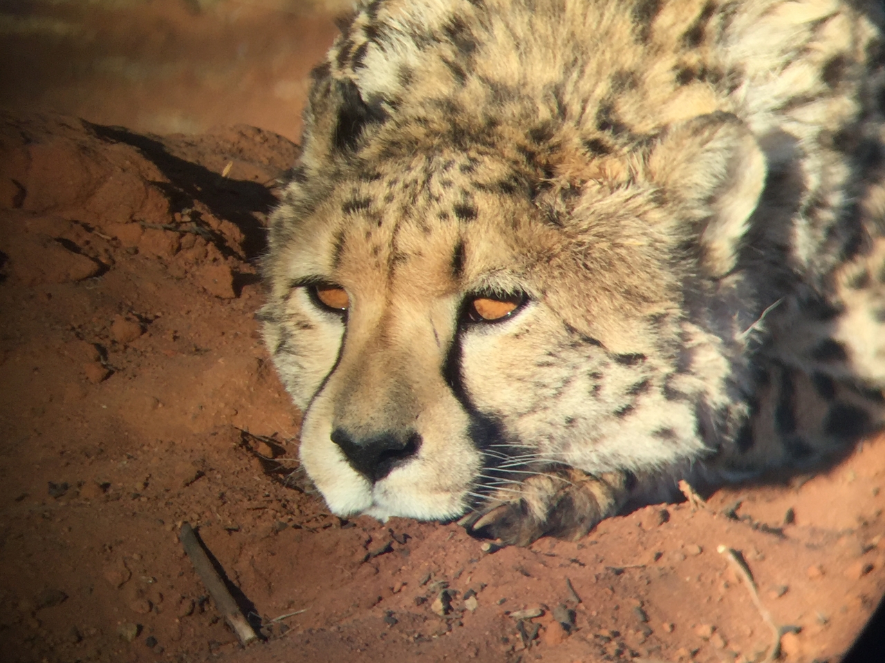 [9338] 2016_06_23_16_13_53_Africa_iPhone_6_IMG_7962_00544.jpg