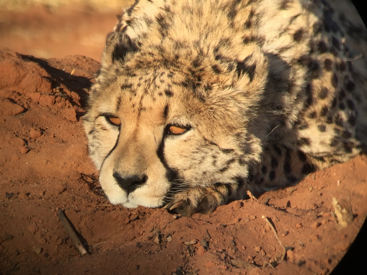 [9357] 2016_06_23_16_14_36_Africa_iPhone_6_IMG_7969_02892.jpg