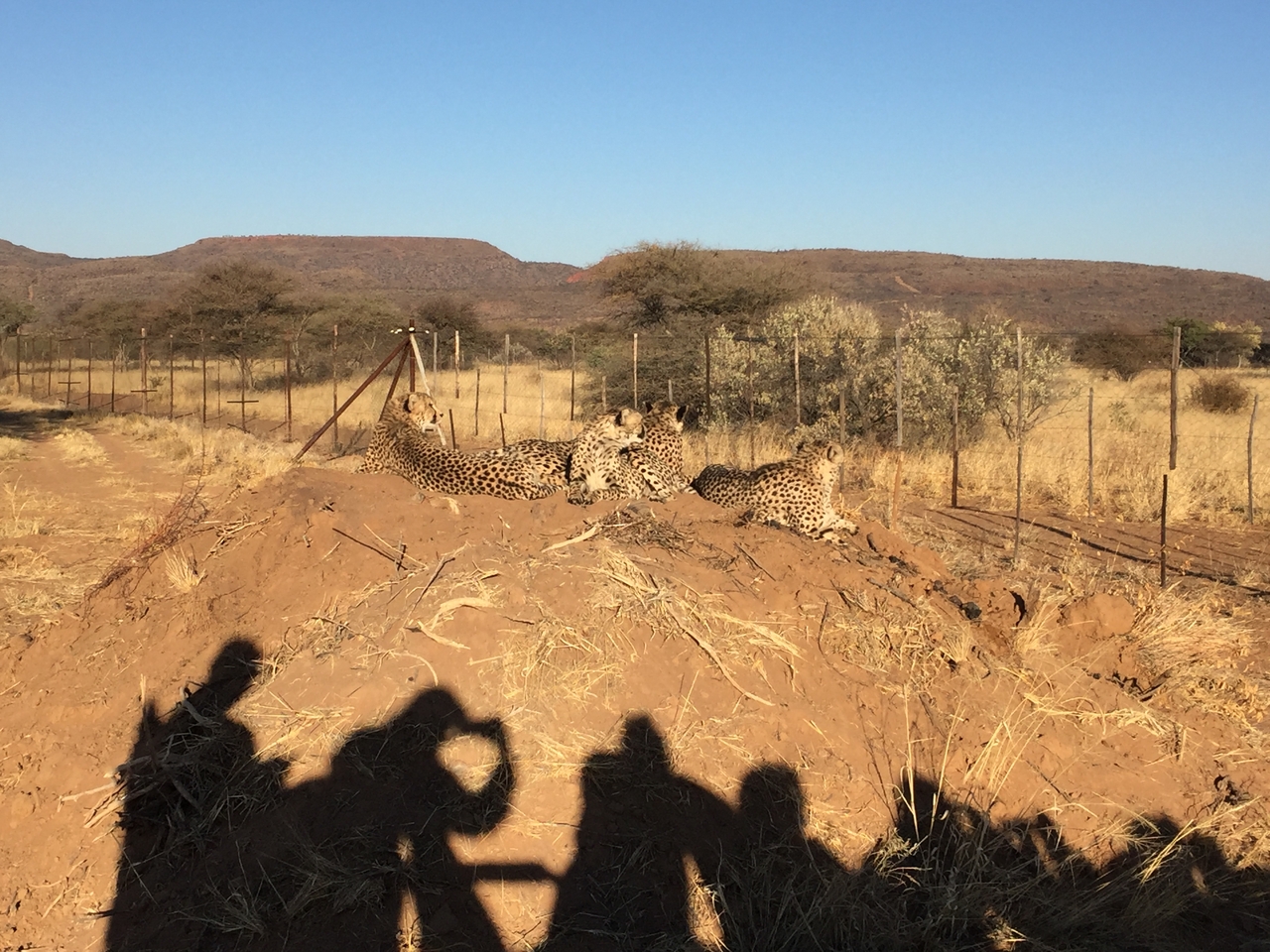 [9385] 2016_06_23_16_20_42_Africa_iPhone_6_IMG_7978_00560.jpg