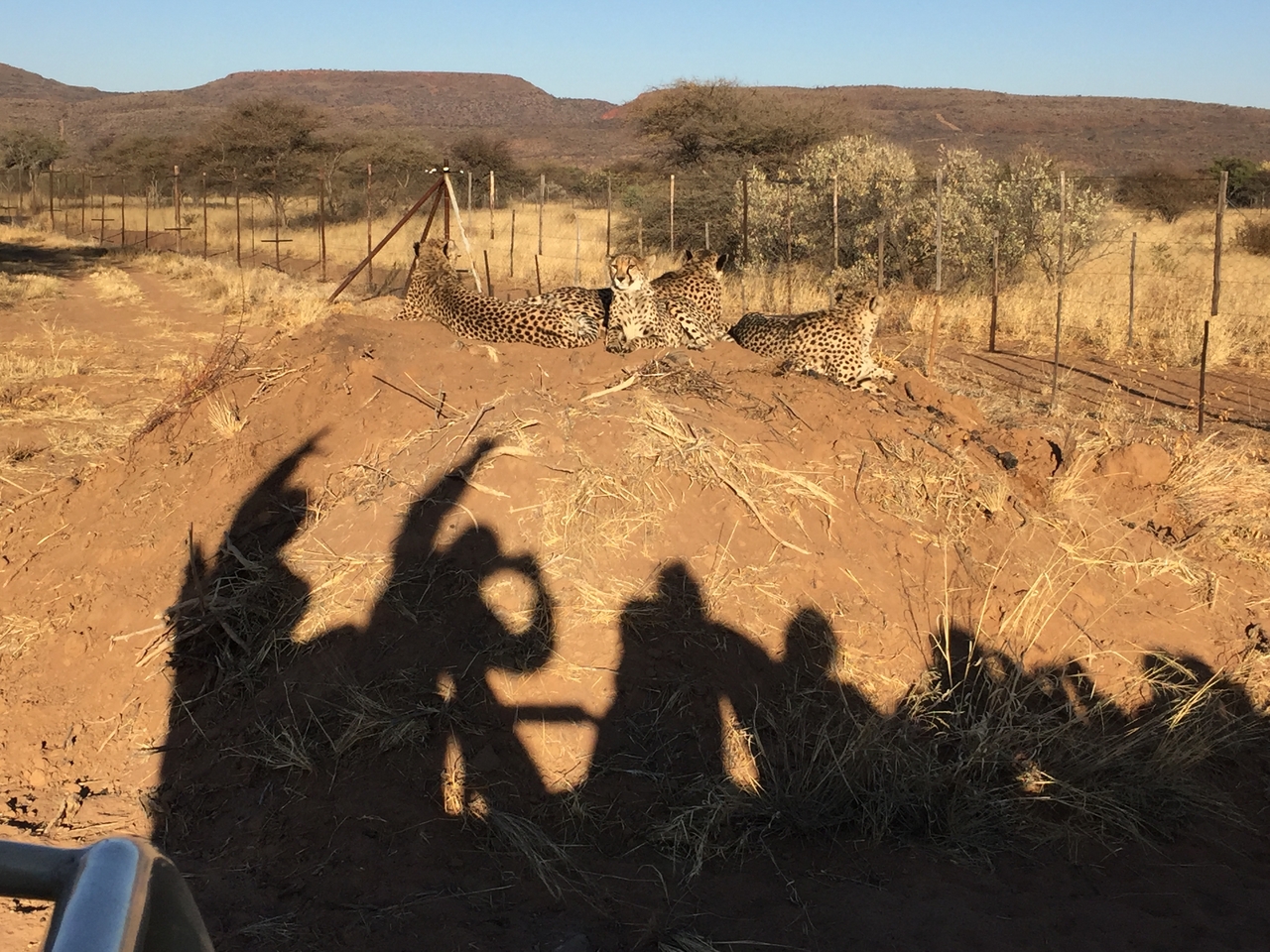 [9387] 2016_06_23_16_20_50_Africa_iPhone_6_IMG_7979_00561.jpg
