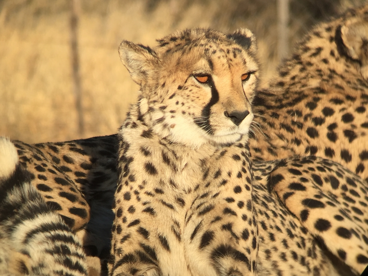 [9391] 2016_06_23_16_21_27_Africa_iPhone_6_IMG_7981_00563.jpg