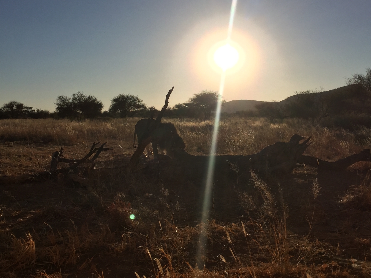 [9397] 2016_06_23_16_39_47_Africa_iPhone_6_IMG_7986_00567.jpg