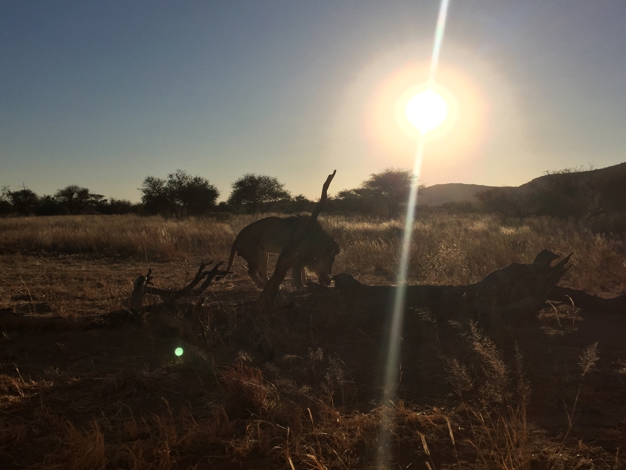 [9399] 2016_06_23_16_39_49_Africa_iPhone_6_IMG_7987_00568.jpg
