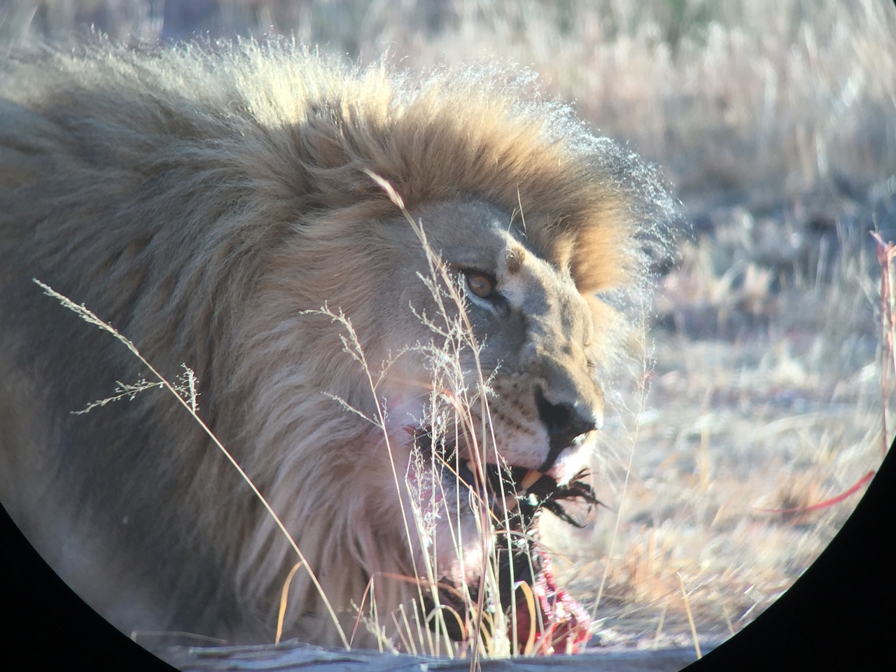 [9423] 2016_06_23_16_42_23_Africa_iPhone_6_IMG_7998_00579.jpg