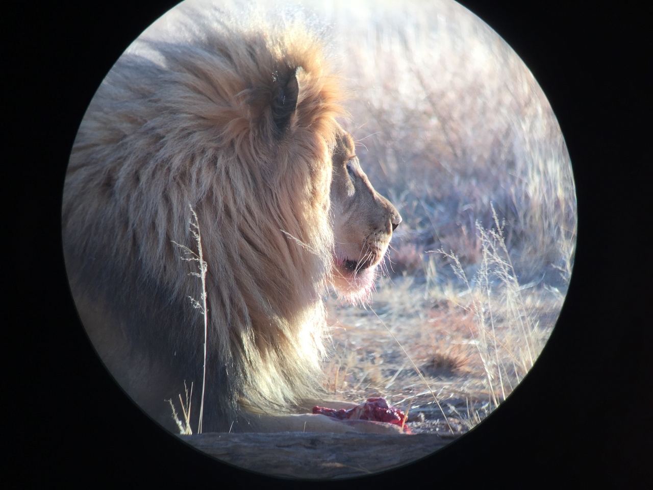 [9434] 2016_06_23_16_45_37_Africa_iPhone_6_IMG_8004_00586.jpg