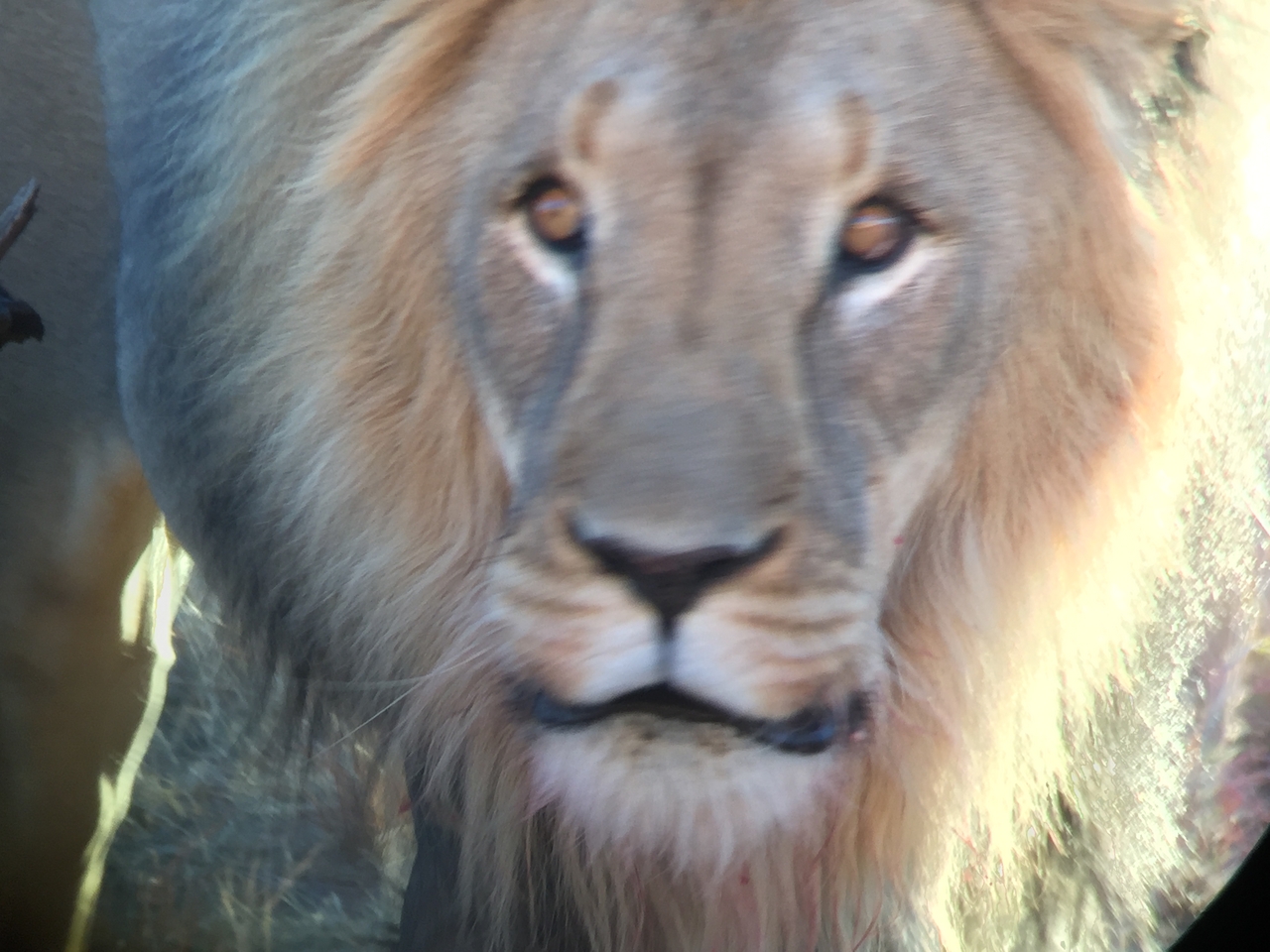 [9466] 2016_06_23_16_52_53_Africa_iPhone_6_IMG_8015_00015.jpg
