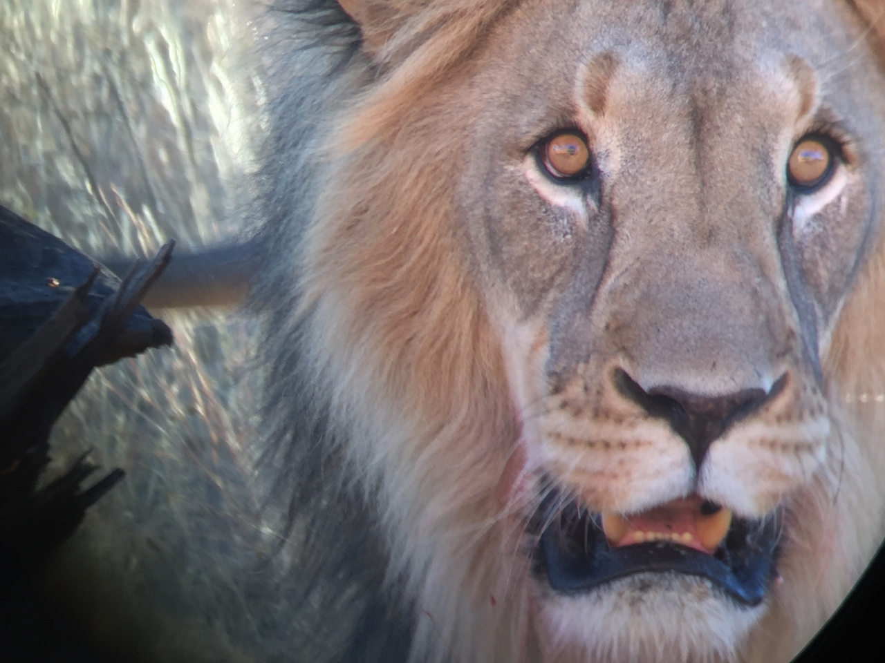 [9470] 2016_06_23_16_52_55_Africa_iPhone_6_IMG_8016_00598.jpg