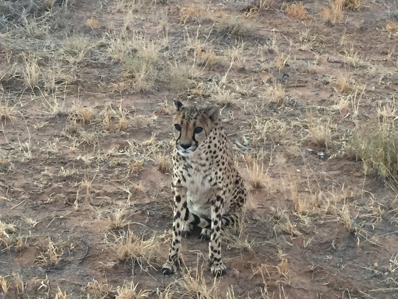 [9540] 2016_06_23_17_28_40_Africa_iPhone_6_IMG_8032_00029.jpg