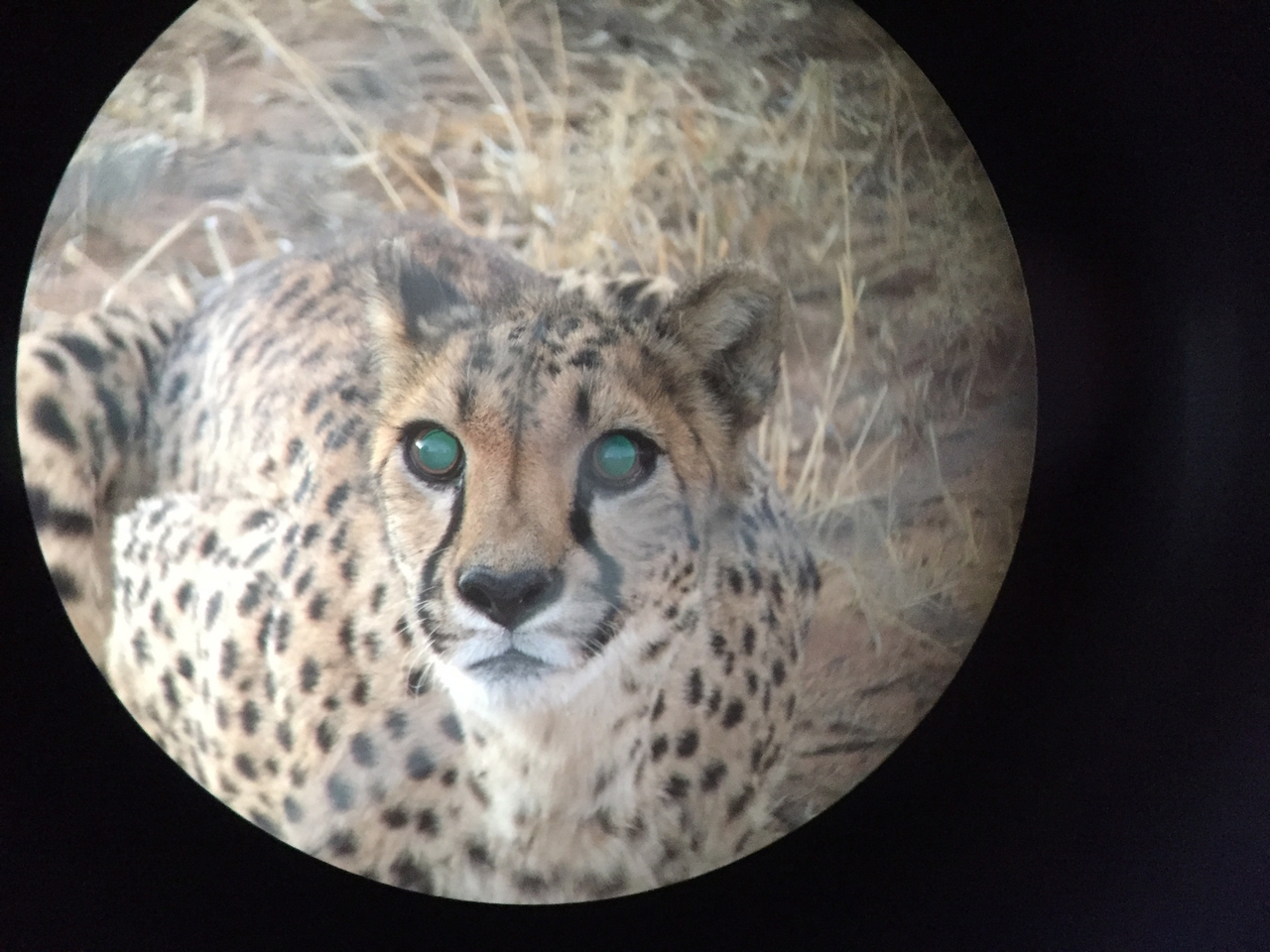 [9550] 2016_06_23_17_29_46_Africa_iPhone_6_IMG_8035_00614.jpg