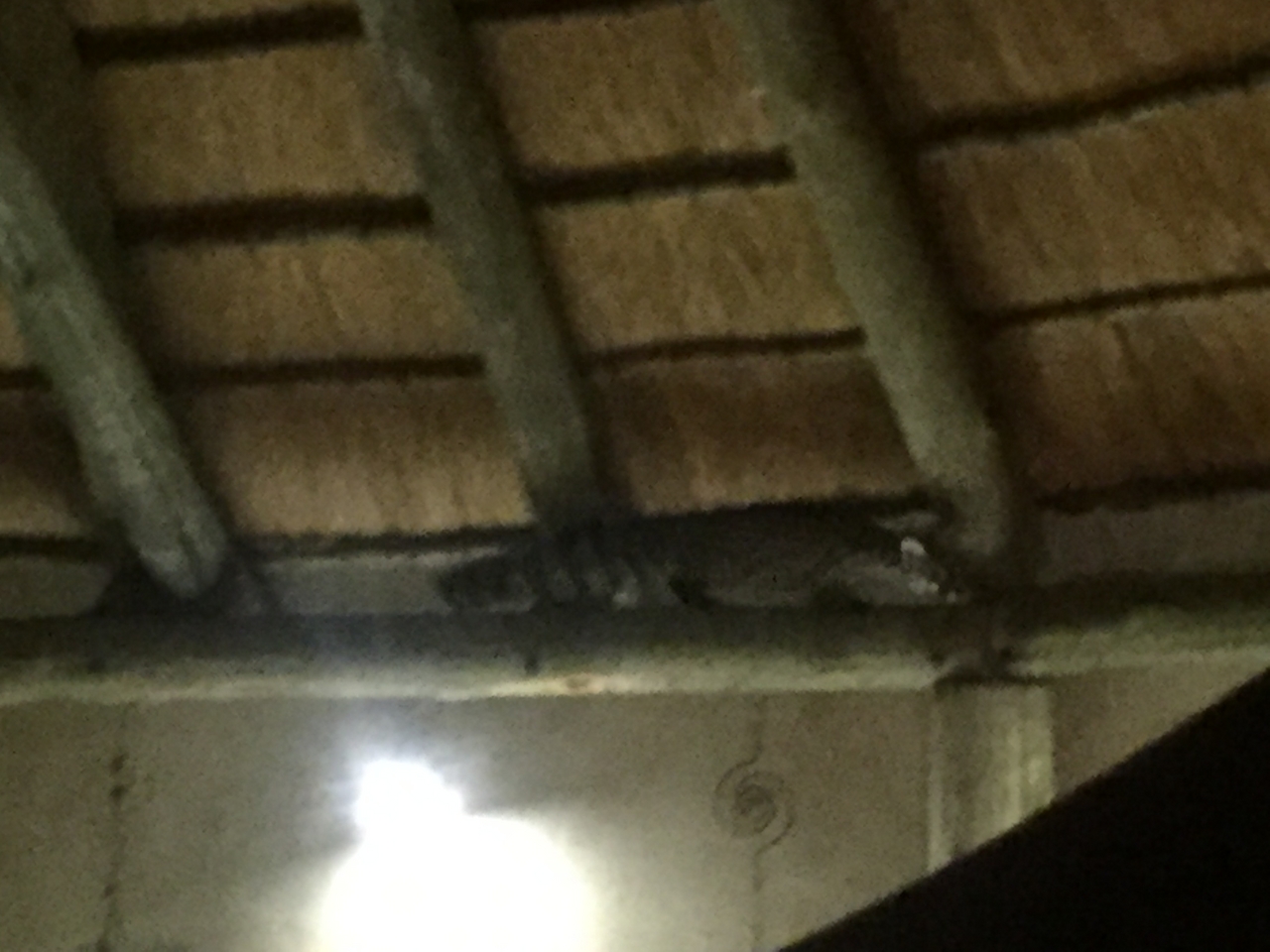 [13715] 2016_06_23_22_52_19_Africa_iPhone_6_IMG_8072_00068.jpg