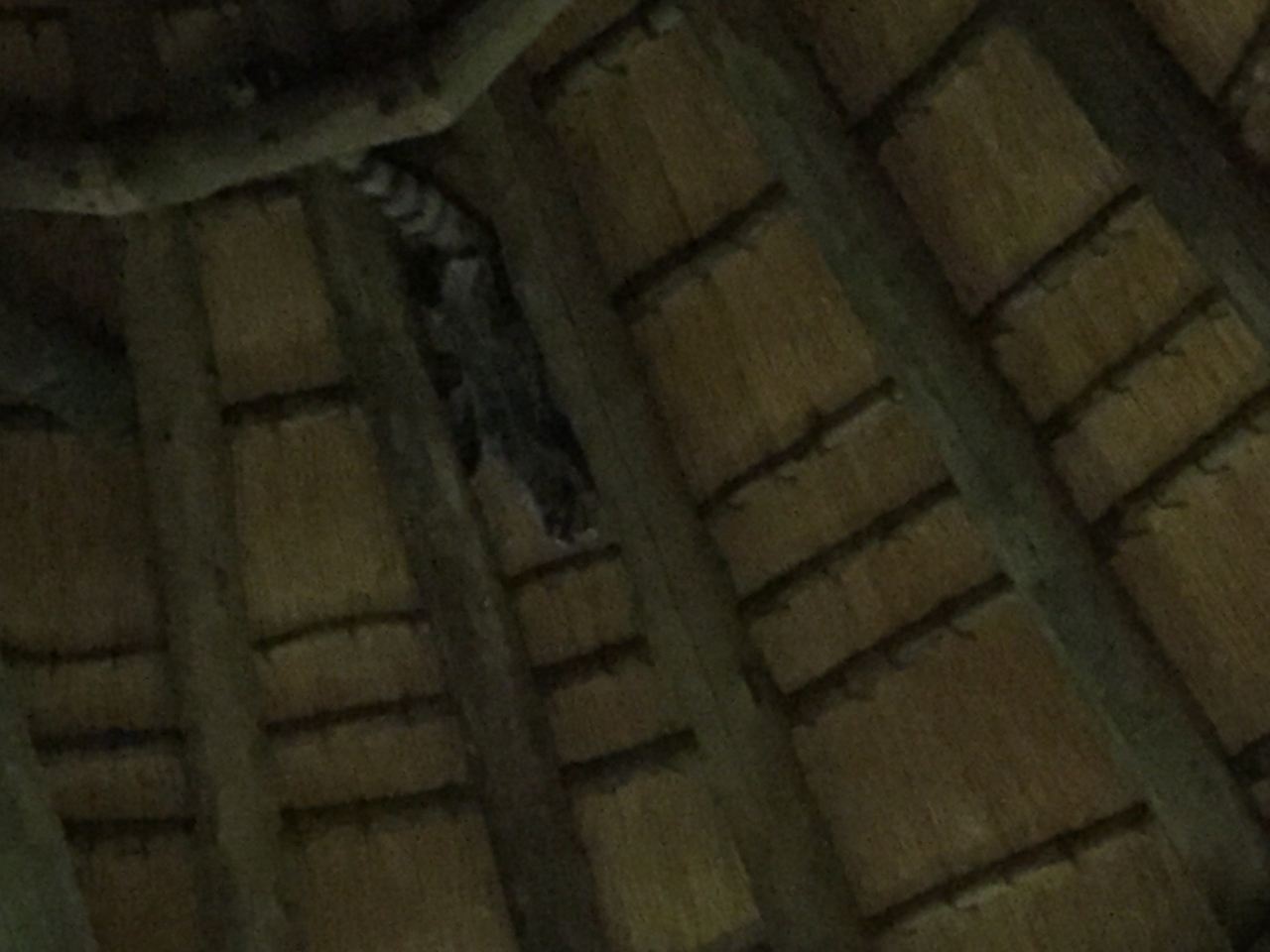 [13722] 2016_06_23_22_53_50_Africa_iPhone_6_IMG_8074_00652.jpg
