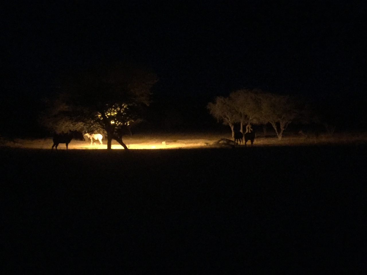 [13731] 2016_06_23_23_17_48_Africa_iPhone_6_IMG_8077_00655.jpg