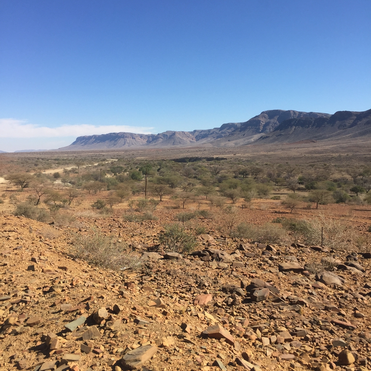 [14065] 2016_06_24_13_04_05_Africa_iPhone_6_IMG_8078_00656.jpg