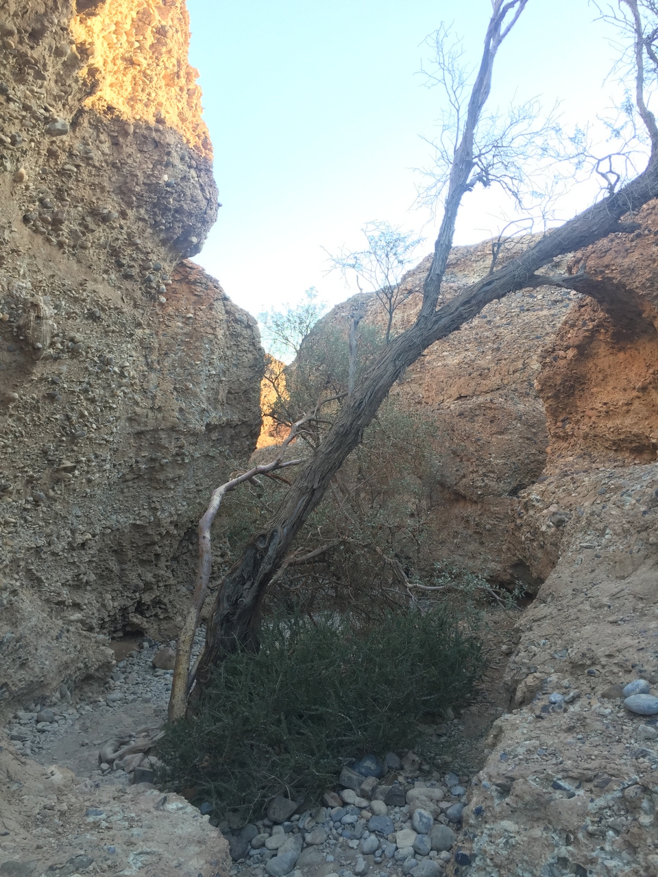 [14148] 2016_06_24_16_37_01_Africa_iPhone_6_IMG_8100_00091.jpg
