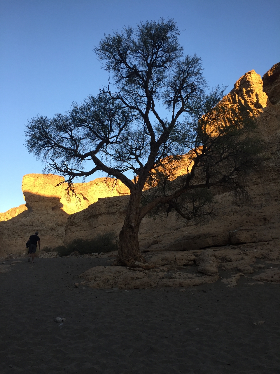 [14192] 2016_06_24_16_44_58_Africa_iPhone_6_IMG_8108_03022.jpg