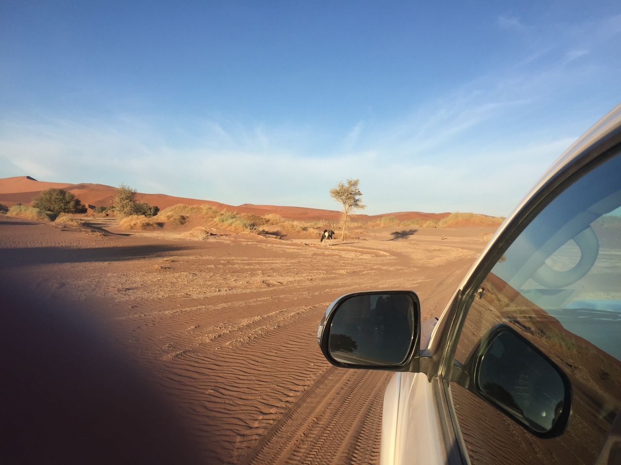 [15511] 2016_06_25_07_28_51_Africa_iPhone_6_IMG_8166_00737.jpg