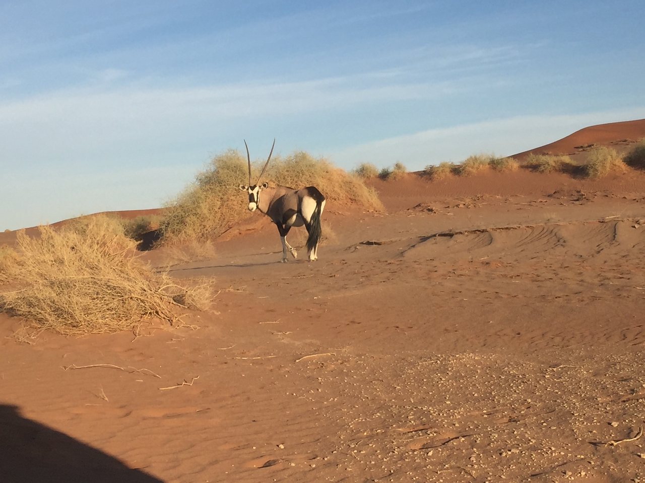 [15520] 2016_06_25_07_29_13_Africa_iPhone_6_IMG_8169_00740.jpg