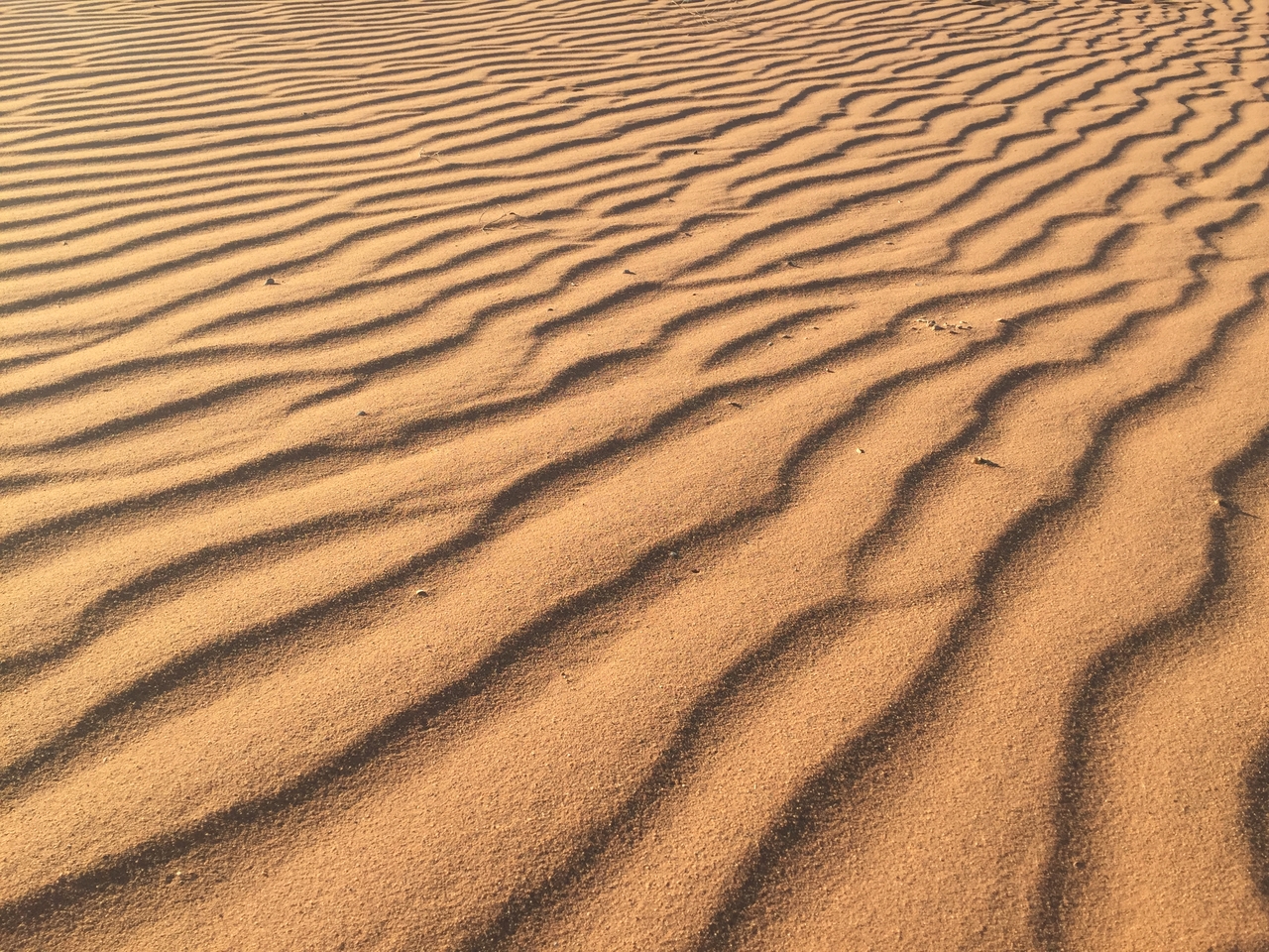 [15579] 2016_06_25_07_37_58_Africa_iPhone_6_IMG_8177_00166.jpg