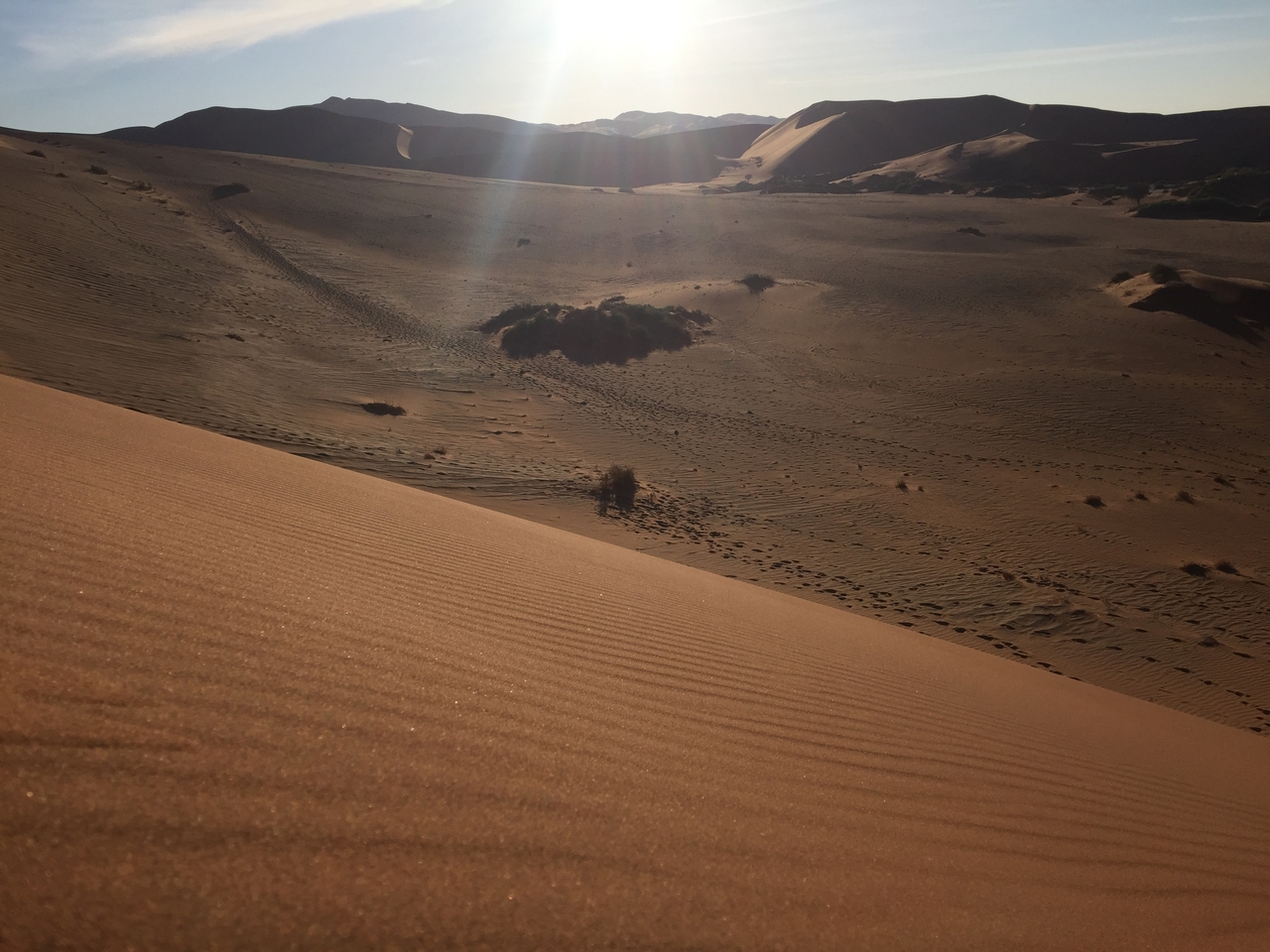 [15598] 2016_06_25_07_53_39_Africa_iPhone_6_IMG_8183_00754.jpg
