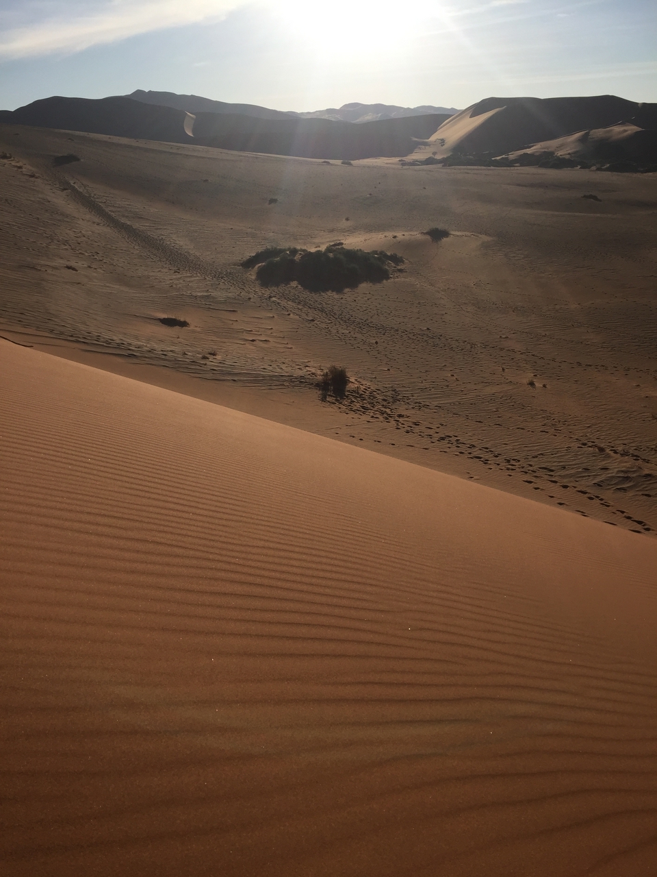 [15602] 2016_06_25_07_53_46_Africa_iPhone_6_IMG_8184_03096.jpg