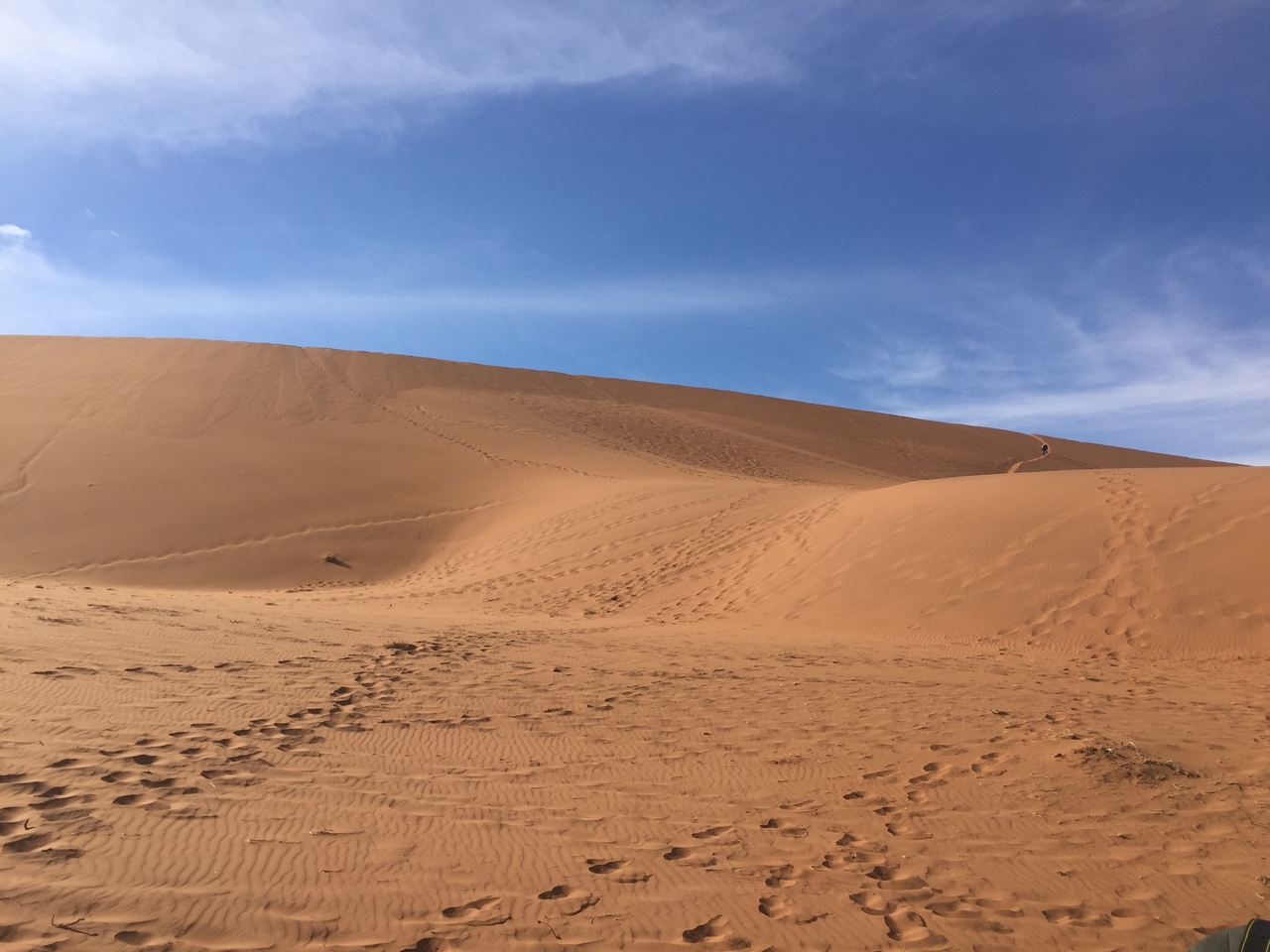 [15978] 2016_06_25_09_41_18_Africa_iPhone_6_IMG_8253_00809.jpg