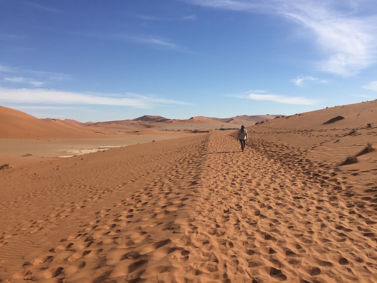 [15980] 2016_06_25_09_41_33_Africa_iPhone_6_IMG_8254_00228.jpg