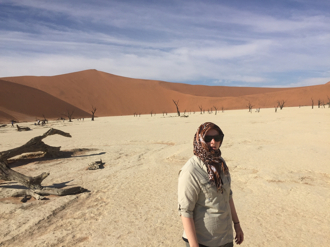 [16023] 2016_06_25_09_51_41_Africa_iPhone_6_IMG_8258_03155.jpg