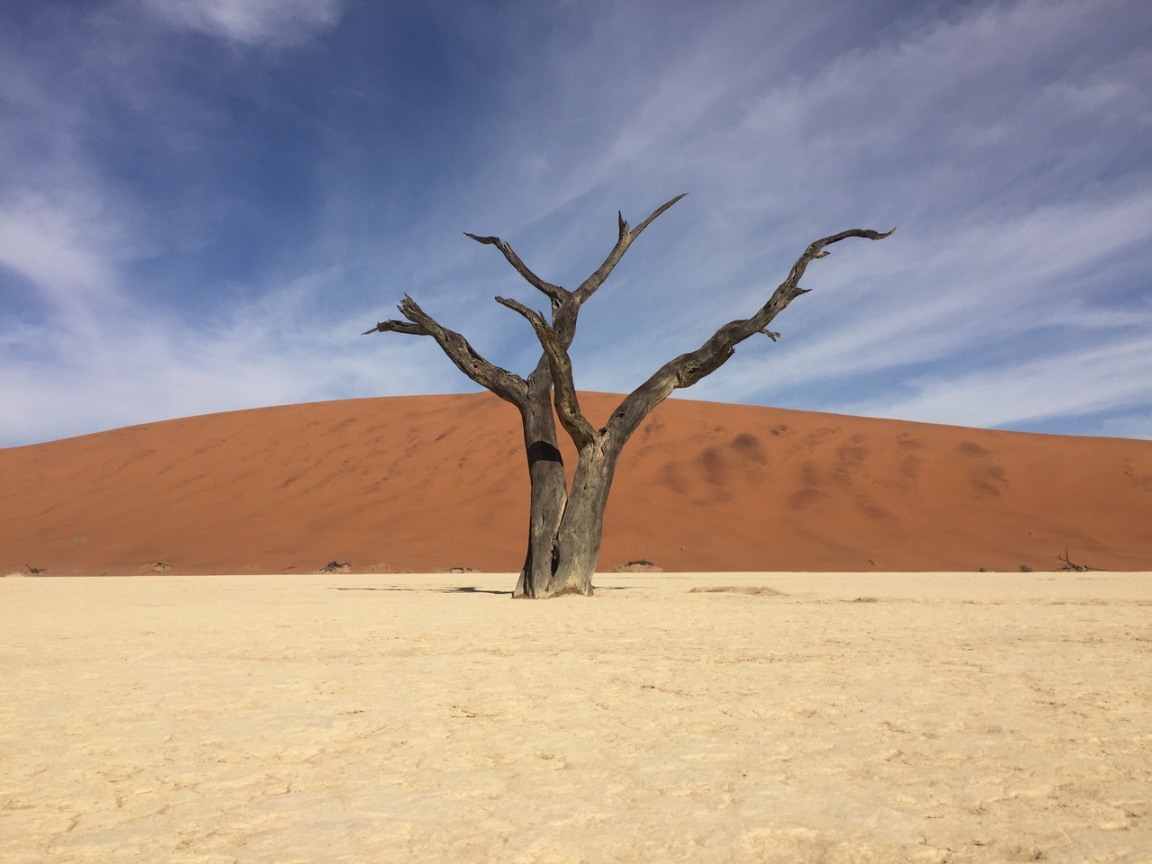 [16174] 2016_06_25_10_04_30_Africa_iPhone_6_IMG_8286_00842.jpg