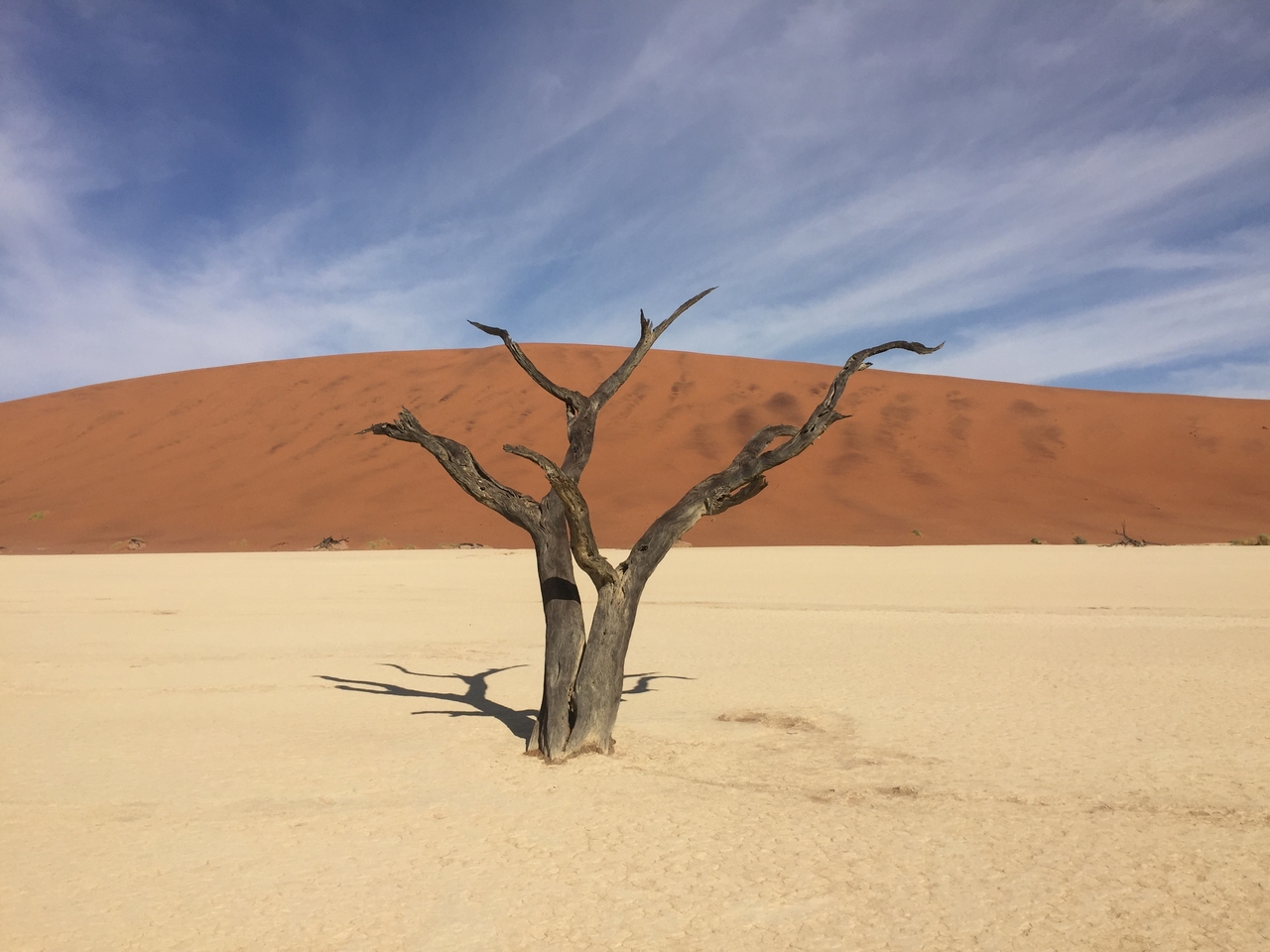 [16178] 2016_06_25_10_04_32_Africa_iPhone_6_IMG_8287_00261.jpg