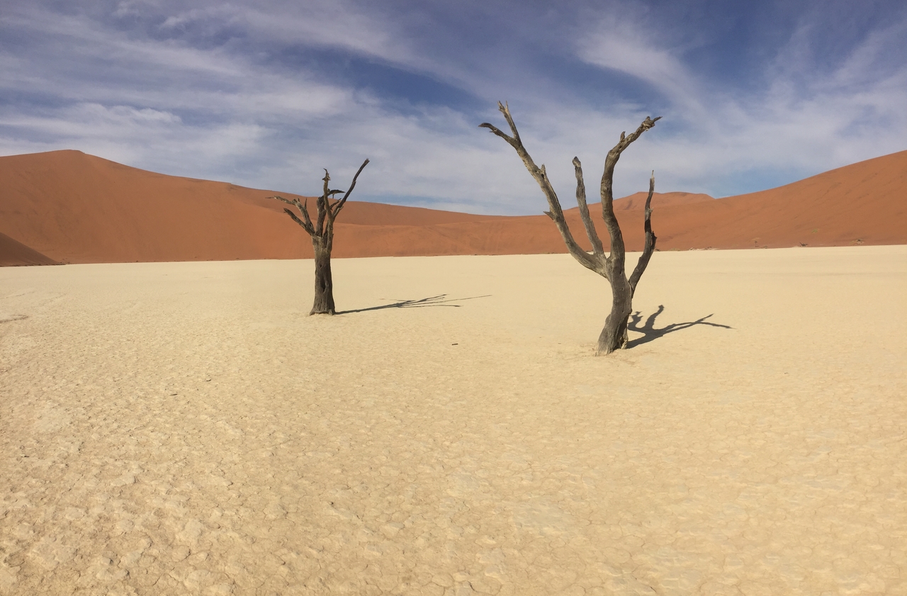 [16197] 2016_06_25_10_11_04_Africa_iPhone_6_IMG_8292_00266.jpg