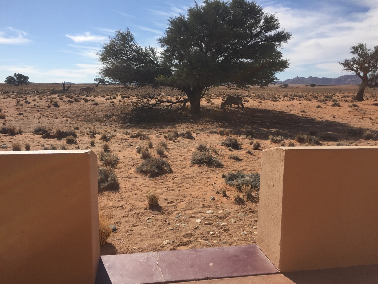 [16321] 2016_06_25_13_38_56_Africa_iPhone_6_IMG_8335_03226.jpg