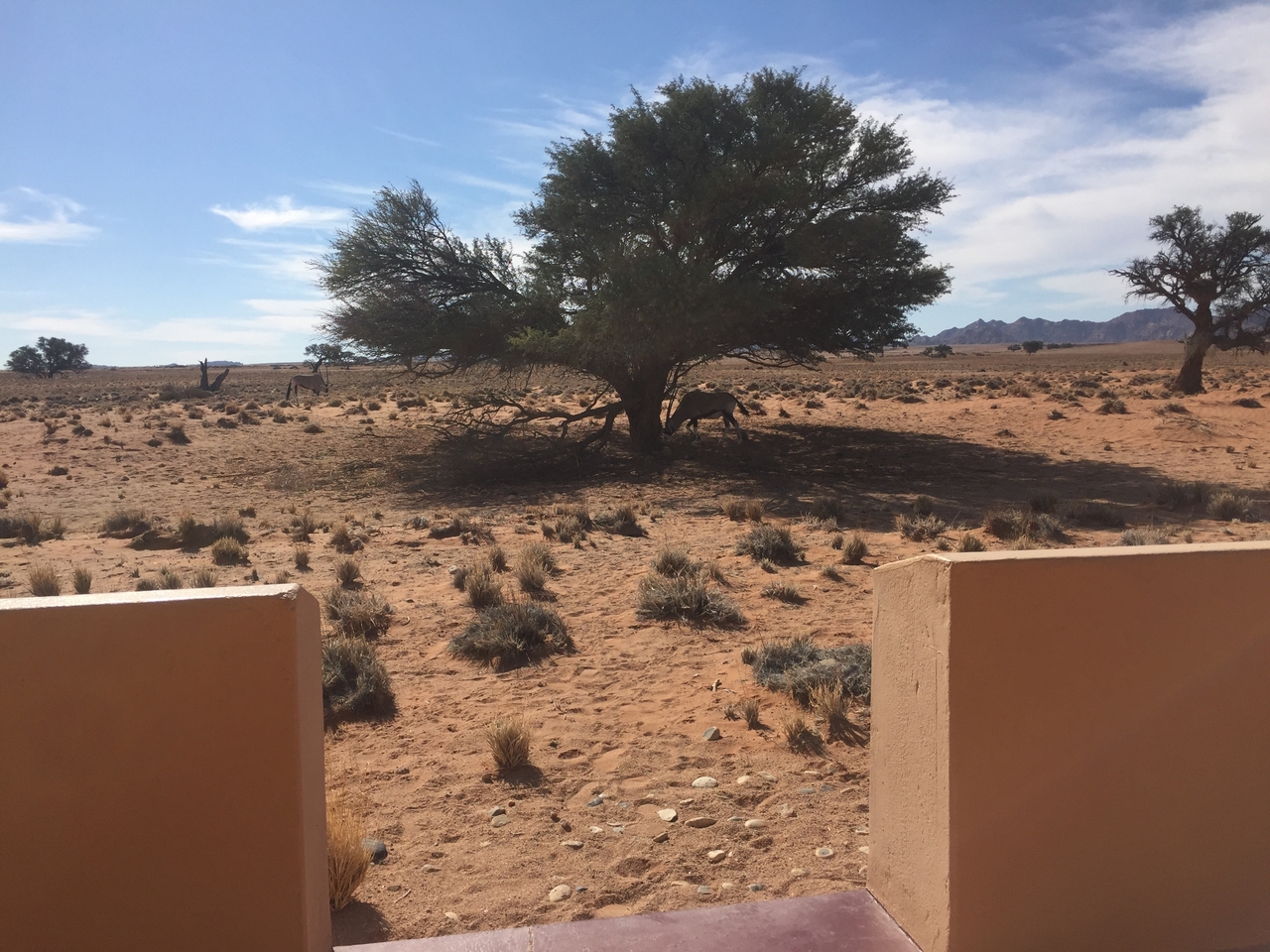[16322] 2016_06_25_13_38_59_Africa_iPhone_6_IMG_8336_00304.jpg